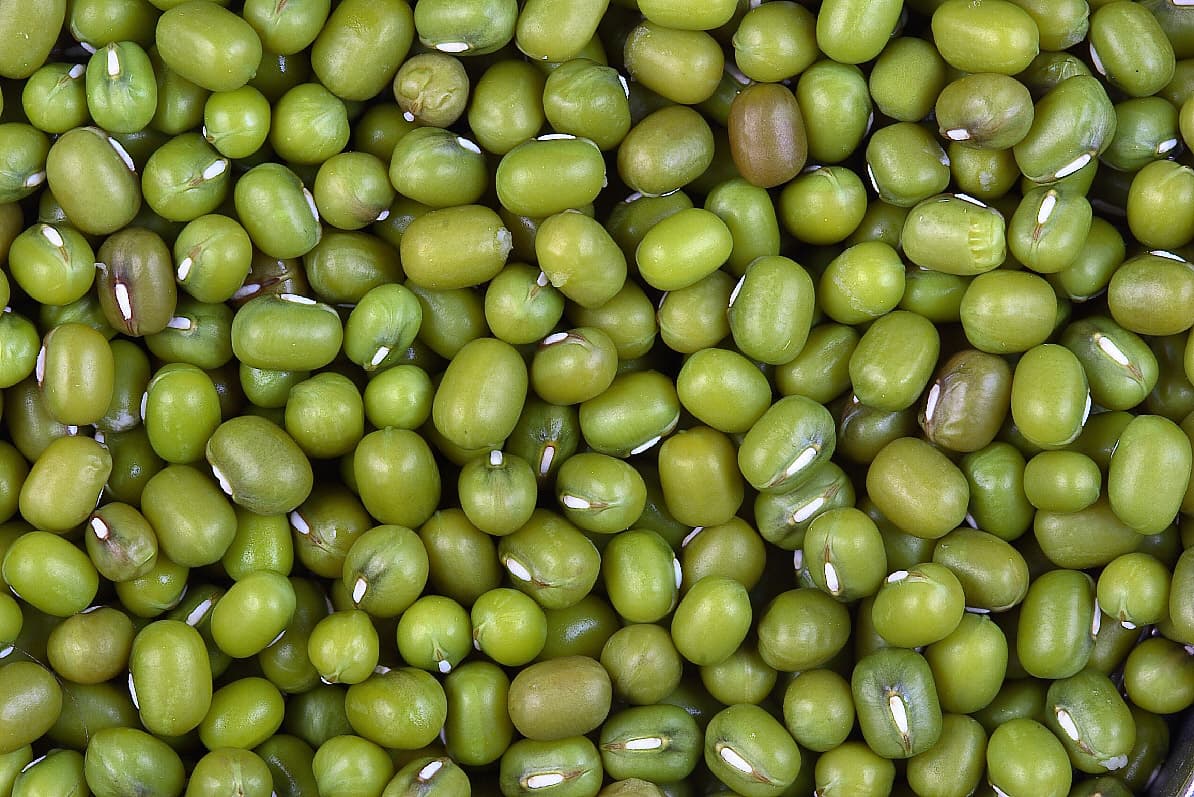 Green Mung Bean with Best Quality